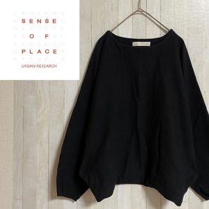 SENSE OF PLACE by URBAN RESEARCH★センス オブ プレイス★コットンブレンド 長袖 カットソー プルオーバー★サイズF　105-19