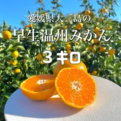 【島の恵み！濃い味わい☆】早生温州みかん ３キロ箱[愛媛県・大三島産)高糖度田口早生☆ご家庭用S〜L混合　（1-2日以内に発送）全国一律送料無料！