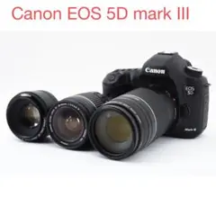 デジタル一眼レフCanon EOS 5D mark IIIトリプルレンズセット