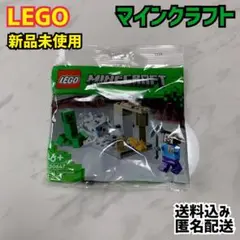 LEGO レゴ マインクラフト 30647 鍾乳洞 新品