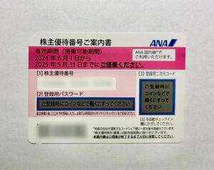 ANA 全日空 株主優待券 1枚 搭乗期限25年5月31日