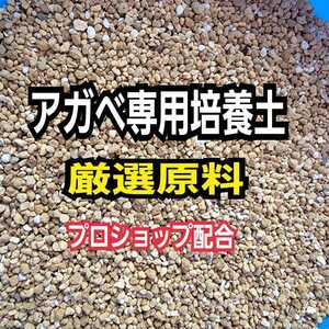 アガベ　専用培養土【5L】プロショップが原料にこだわり抜群の配合で完成させた特選品　これ1つあればバッチリ育成OKです！多肉植物全般に