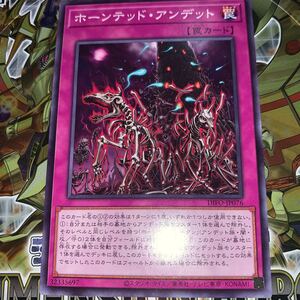 遊戯王　DIFO-JP076　ノーマル　ホーンテッド・アンデット　DIMENSION FORCE