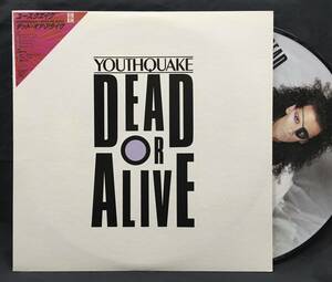 LP 日本企画ピクチャー盤【Youthquake ユースクエイク】DEAD OR ALIVE（デッド・オア・アライヴ）