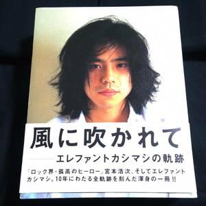 風に吹かれて　エレファントカシマシの軌跡　宮本幸次　