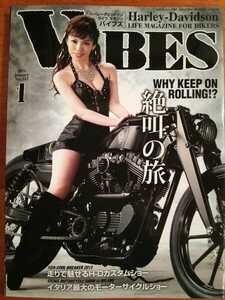 VIBES　バイブズ　2014年　1月　vol.243 　ハル