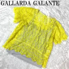 GALLARDA GALANTE レースカットソー イエロー F B5608