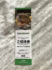 伊豆シャボテン動物公園 株主優待 招待券（全日）1枚（2名様分）★伊豆シャボテンリゾート★期限2025年6月30日