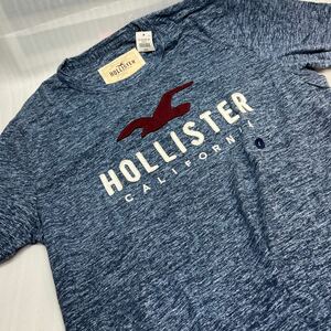 未使用★ホリスター HOLLISTER Tシャツ★サイズL★ネイビー