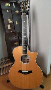 Taylor 914ce Limited 2001 Jacaranda