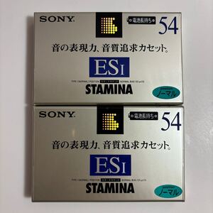 カセットテープ ノーマルポジション SONY ESⅠ STAMINA 54分2本