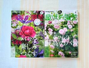 NHK趣味の園芸 2023年5月号バラを楽しみつくす／2022年5月号花ひらく!最高のバラ●バラ特集号 クレマチス 芍薬 アリウム