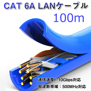 CAT 6A LANケーブル100m 100メートル 10ギガビット 10Gbps 500MHz 光回線対応 超高速通信 ルーター パソコン プリンター 防犯カメラ 業務用