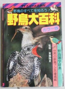 野鳥大百科 ケイブンシャの大百科(86)昭和56年初版/検;渡辺正美前村教綱平沢茂太郎村上金三郎さいとうまり鳥類