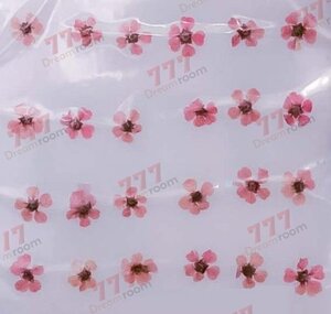 送料無料☆本物 押し花素材 ハンドメイド 花材 DR2240K　ネイル用押し花　小花　薄いピンク