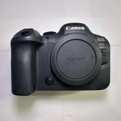 Canon EOS R6 MarkⅡ 保証内 SDカード 箱付き