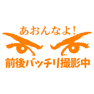 送料無料 ドラレコ撮影中 アピールステッカー【オレンジ】あおんなよ 前後バッチリ撮影中　横18cmあおり運転防止　安全運転　事故防止　