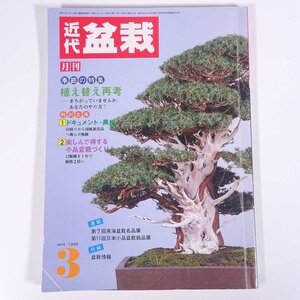 月刊 近代盆栽 No.101 1986/3 近代出版 雑誌 盆栽総合誌 園芸 ガーデニング 植物 特集・植え替え再考 ほか