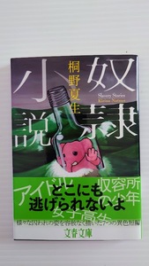 ☆　桐野夏生　「奴隷小説 」　文春文庫