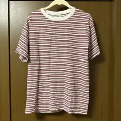 GOTCHAのTシャツ