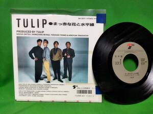 見本盤 EP レコード チューリップ TULIP - まっ赤な花と水平線