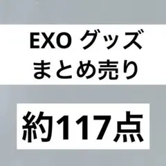 EXO グッズ　まとめ売り【公式ペンライト・トレカ・FC会報他】