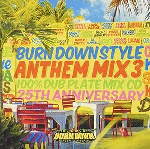 BURN DOWN STYLE ANTHEM MIX vol.3　(shin