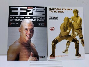 太陽ケア 全日本プロレスオフィシャルトレーディングカード 王道(2003)2枚セット