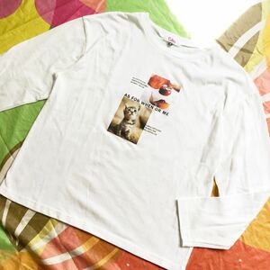 【Pink latte】ピンクラテ/ロングTシャツ（M/165cm）白/カットソー /ロゴ &猫フォト/普段.ホームウェア.通学/秋物