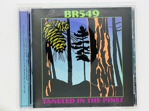 即決CD BR549 TANGLED IN THE PINES オルタナ カントリー 80302-01149-2 X12