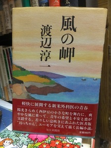 風の岬 　　　　　　　　　　　　　　　渡辺淳一