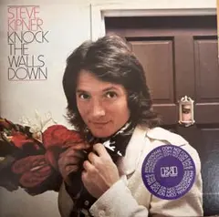 【LP】スティーヴ・キプナー『Knock The Walls Down』輸入盤