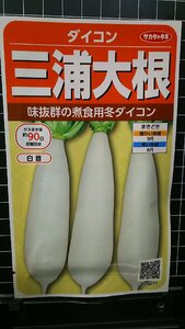 ３袋セット 三浦 大根 みうら ダイコン 種 郵便は送料無料