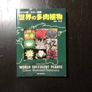 世界の多肉植物☆図鑑 観葉 ガーデニング 園芸 庭 花 植木 エケベリア ハオルシア カランコエ アガベ リトープス ユーフォルビア セダム