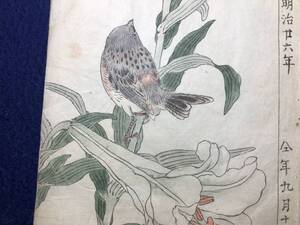 5134彩色 花鳥画 絵入 絵本 ■諸画非那仮多■ 肉筆 写本 粉本 絵手本 下絵 原画 幸野楳嶺 松本楓湖 明治期 和本 浮世絵ukiyoe古書古文書