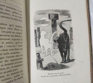 猫本の古典☆シャンフルーリ『猫』1870年刊増補改訂第４版/北斎、ドラクロワ、マネ、グランヴィル