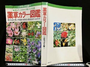 ｇ▼▼　薬草カラー図鑑　デラックス版　春夏秋冬、効きめの確かな435種　著・伊沢一男　昭和57年第1刷　主婦の友社　/C06