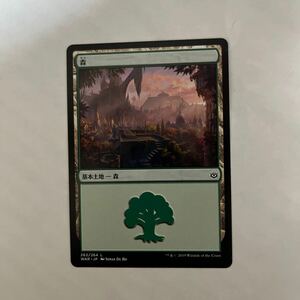 MTG マジックザギャザリング　森