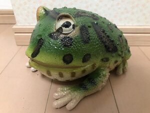 ★　程度良好　ラテックス　ベルツノガエル　大型　リアル　フィギュア　ソフビ　生物　生き物　両生類　オブジェ　置物