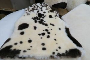 ムートンラグ【世界で一つだけの - Mouton Natural Spot】 極稀の原皮 ナチュラルスポットa