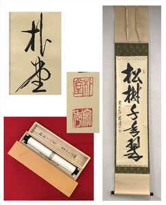 【千寿】大徳寺派 福聚院 佐藤朴堂 松寿千年翠 紙本 a185◆箱/茶道具/古美術/時代品/掛軸/100016954