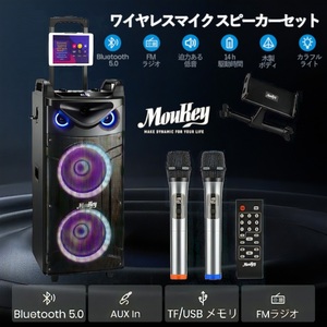 カラオケスピーカーセット ポータブル 280W デュアル10インチサブウーファー Bluetooth 充電式UHFマイク MP3/USB/SD/FM録音 使用時間8-20