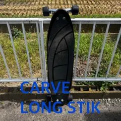 【中古】CARVE LONG STIK サーフィン スノボ 陸トレ用 ロンスケ