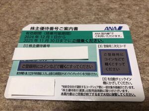 ANA 株主優待割引券20枚セット　有効期限 2024年12月1日から2025年11月30日まで◇送料無料◇