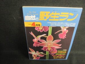 自然と野生ラン　1995.4　エビネの基礎知識　日焼け強/QCC