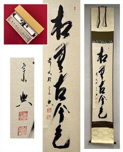 【千寿】大徳寺派 極楽寺 西垣宗興 松無古今色 一行書 紙本 d826◆箱/茶道具/古美術/時代品/掛軸/100027080