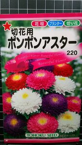 ３袋セット ポンポン アスター 切花用 種 郵便は送料無料