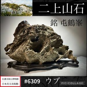 【信濃美術石博物館】水石 二上山石 ウブ銘 屯鶴峯横31×高19×奥行9(cm) 重量:3.6kg 盆栽骨董盆石古美術中国古玩 6309