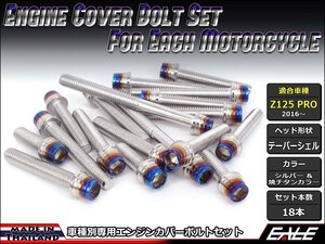 Z125 PRO(BR125) エンジンカバー ボルト18本セット ステンレス製キャップボルト CTCテーパーシェルヘッド シルバー&焼チタンカラー TB8036