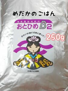 めだかのごはん　おとひめB2 250g リパック品　グッピー 熱帯魚 メダカ